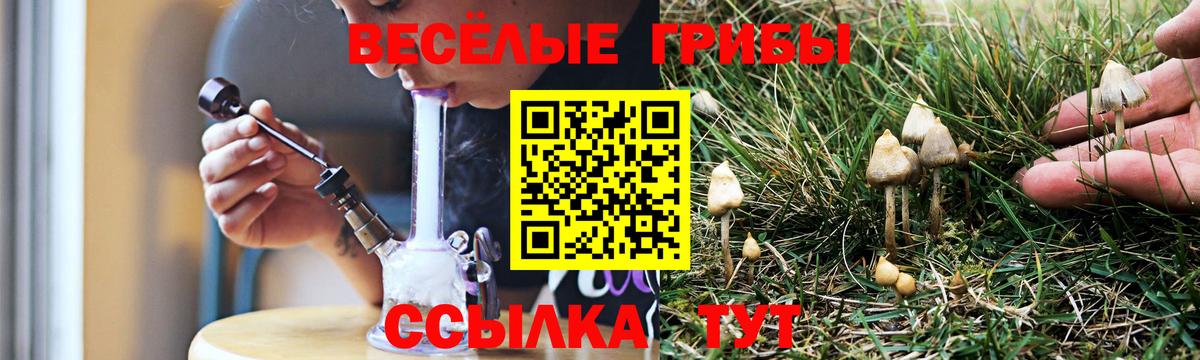 Галлюциногенные грибы Magic Shrooms Киселёвск